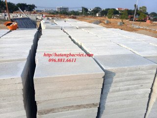 Tấm đan bê tông đúc sẵn