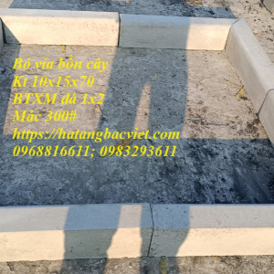 Bó vỉa gốc cây bê tông (10x15x70cm)