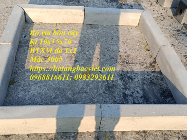 Bó vỉa gốc cây bê tông (10x15x70cm)