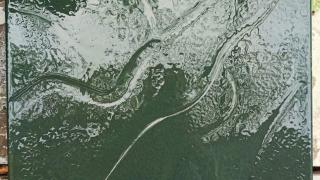 Gạch giả đá màu Xanh Rêu