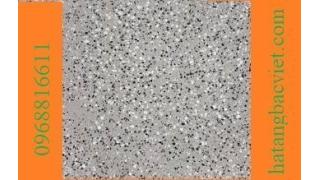 Gạch vỉa hè Terrazzo mặt nhẵn,mài nhẵn,giả đá,gạch đá mài,gach ID