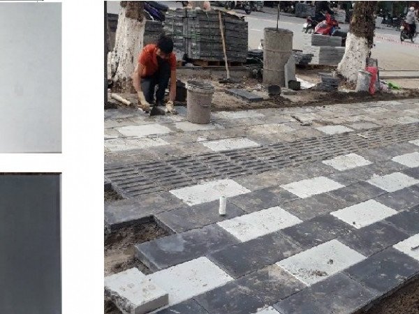 Gạch vỉa hè giả đá chữ nhật sần da bưởi 30x60