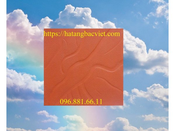Gạch vỉa hè, sân vườn bê tông giả đá vân mây 40x40x5cm