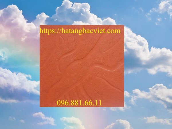 Gạch vỉa hè, sân vườn bê tông giả đá vân mây 40x40x5cm