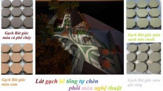 Gạch bê tông tự chèn lục giác, bát giác, ziczac, chữ nhật