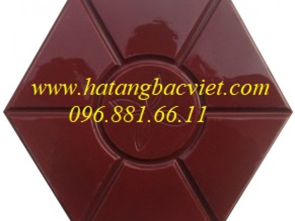Gạch bê tông hình lục giác mặt bóng hoa thị