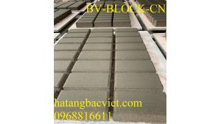 Gạch block tự chèn hình chữ nhật(gạch thẻ),kích thước 10x20